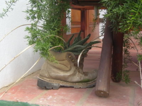 Skeiding Guest Farm, Südafrika Reise