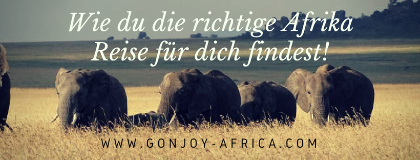 Wie du die richtige Afrika Reise findest