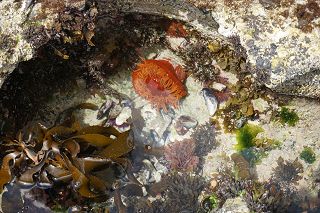 Wasserwelt in De Hoop