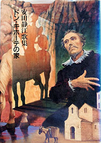 安田静江, ドン・キホーテの家, 1991年, 本阿弥書店
