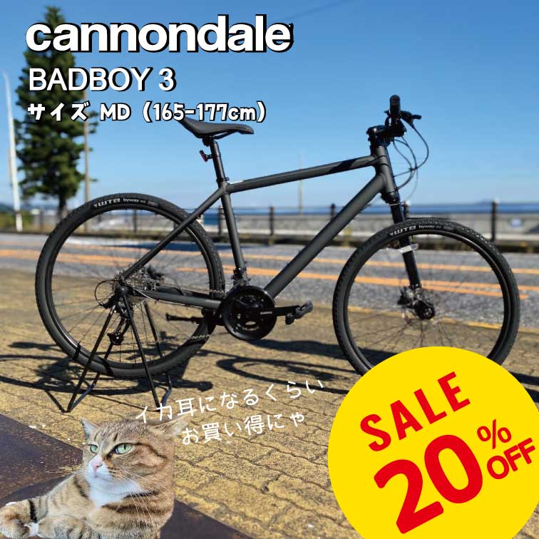 Cannondale　BADBOY 3（キャノンデール　バッドボーイ3）