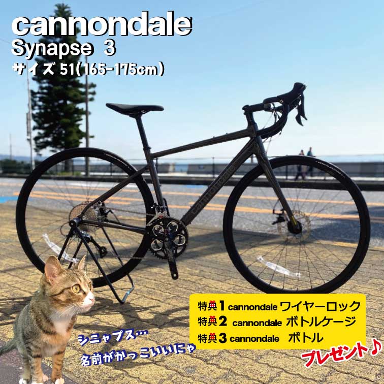 Cannondale　Synapse 3　キャノンデール　シナプス　ロードバイク　弱虫ペダル