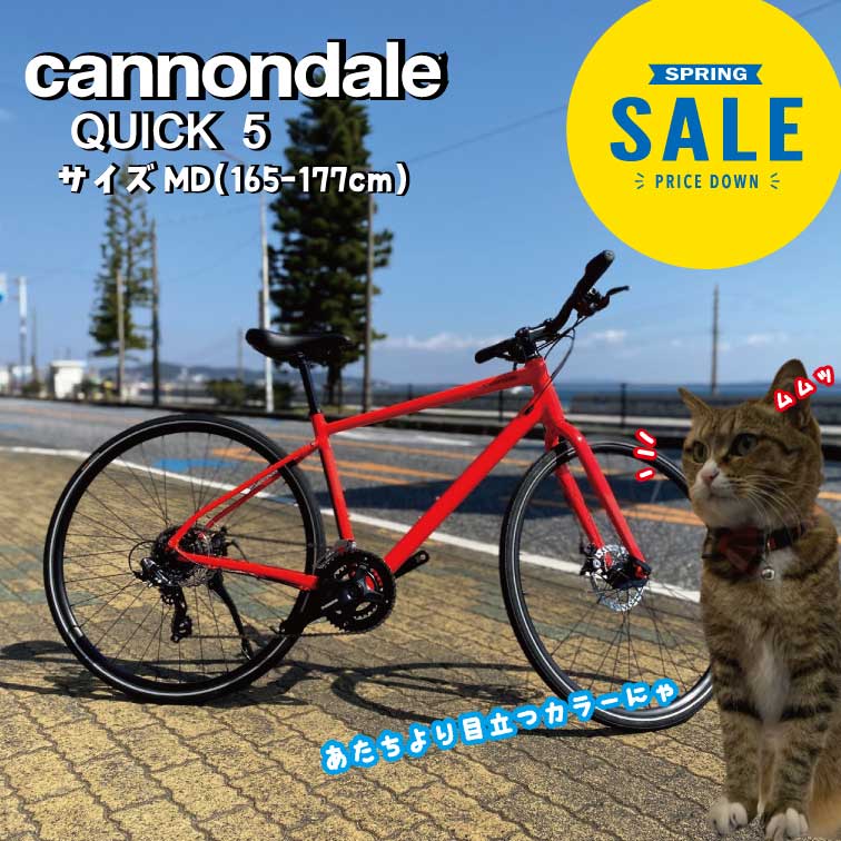 Cannondale - ロードバイクのレンタルならここ Cannondale - ロードバイクのレンタルならここ