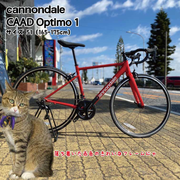 Cannondale - ロードバイクのレンタルならここ Cannondale - ロードバイクのレンタルならここ