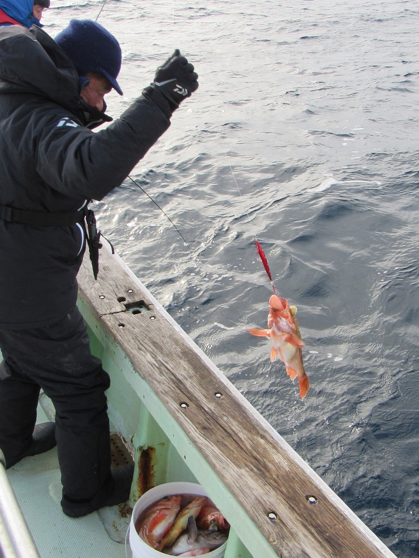 徐々にメバルの魚探反応が良くなってきて全員ヒットや連発を期待しましたがそれも叶わず・・・