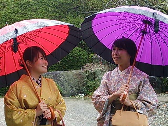 卒業旅行シーズンは雨が心配。でも和傘での着物体験もいい思い出になります