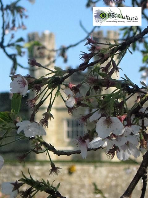 Leeds Castle ©Patrick Schröder