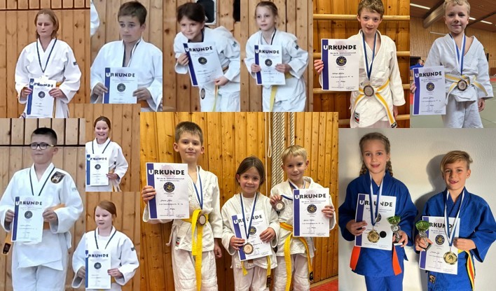 Judokas des TSV Isen erfolgreich