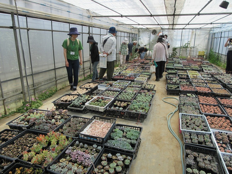 第２６回農家巡りウォーキング