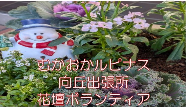 ☆ゆる～～い繋がり むかおかルピナス