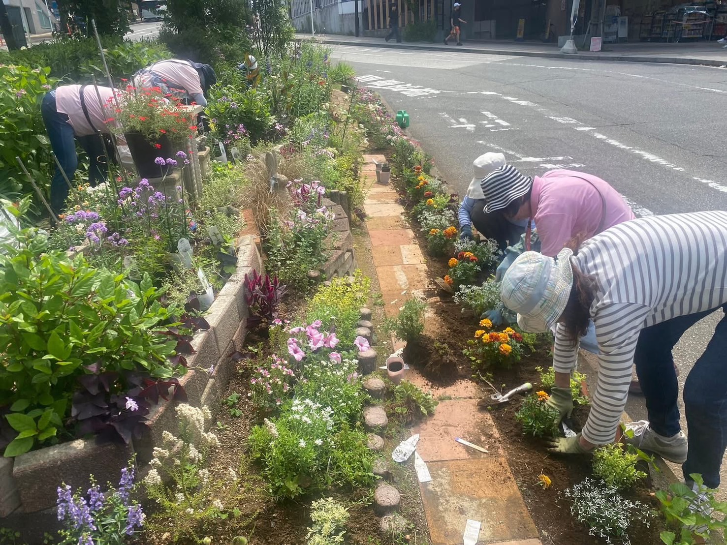 ☆ガーデニング倶楽部　花壇の植え込み