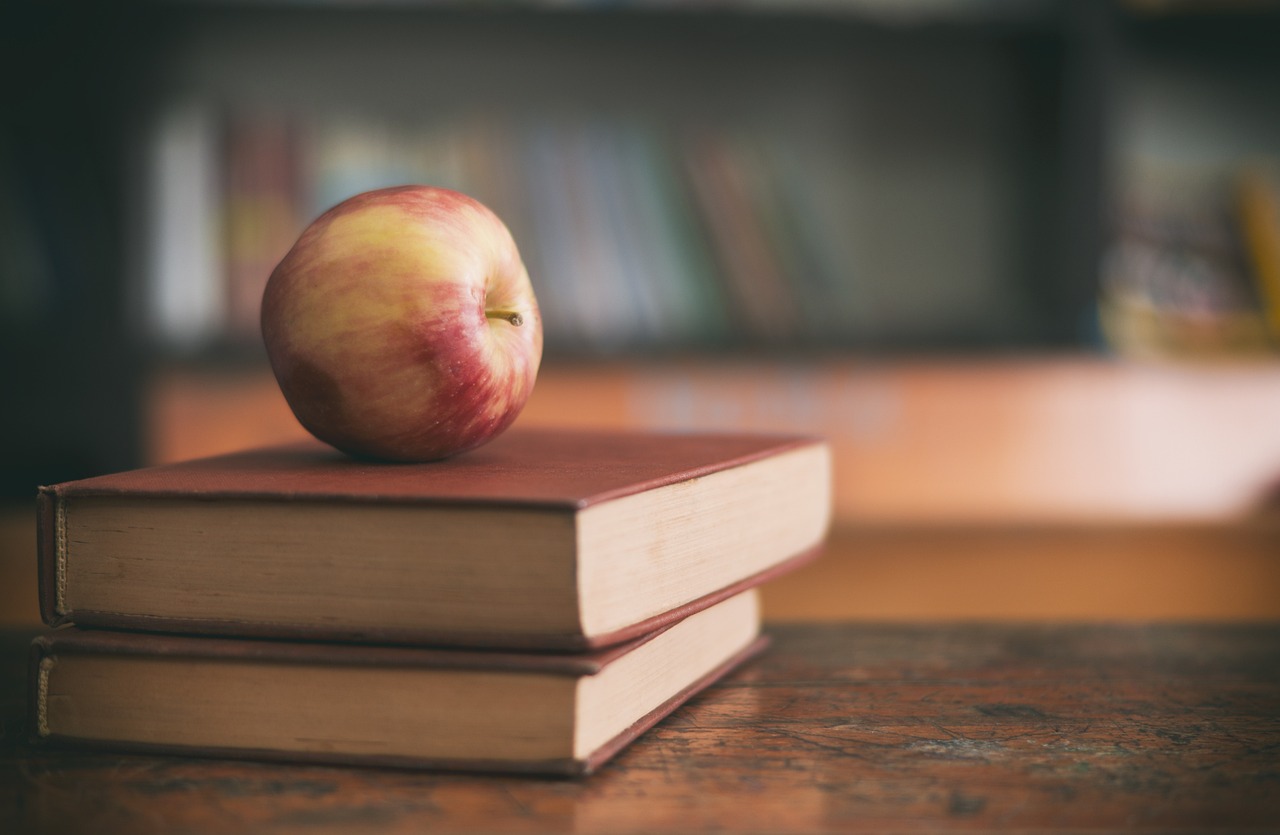 La formation continue : une nécessité en enseignement?