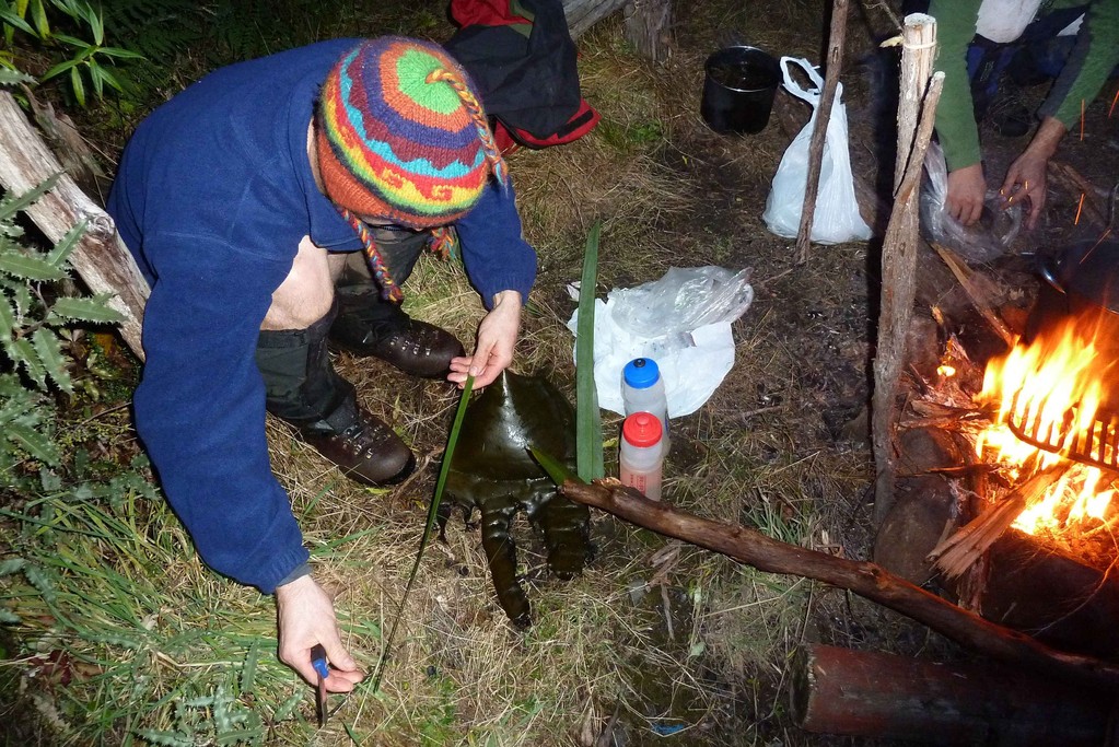 ein paar Muscheln haben wir auf Maori-Art in Seetang (bull kelp) gesteckt und mit Flax vernäht ins Feuer gepackt.