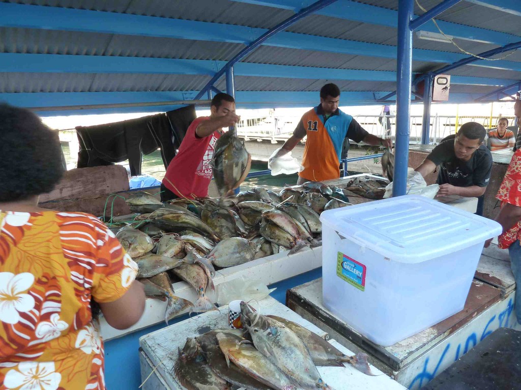 Fischmarkt in Suva.