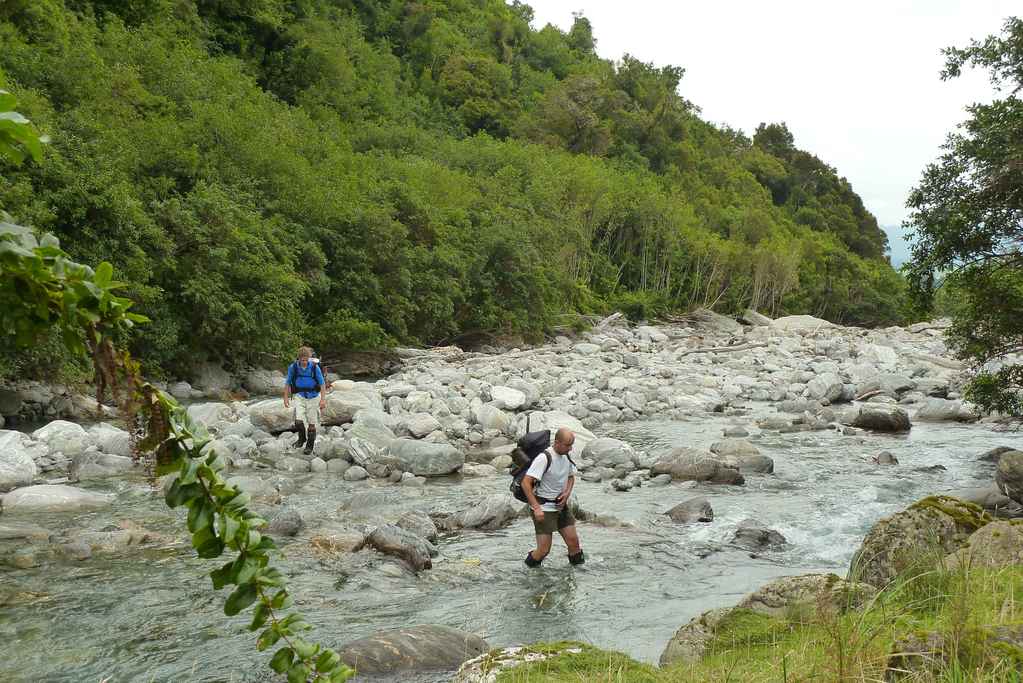 Start der Wanderung: Wie in Neuseeland üblich geht es ständig durchs Wasser und man hat immer nasse Füße.
