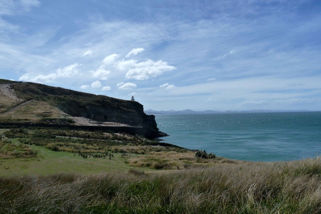 Am Ende der Otago-Halbinsel, nahe der Albatross-Colony