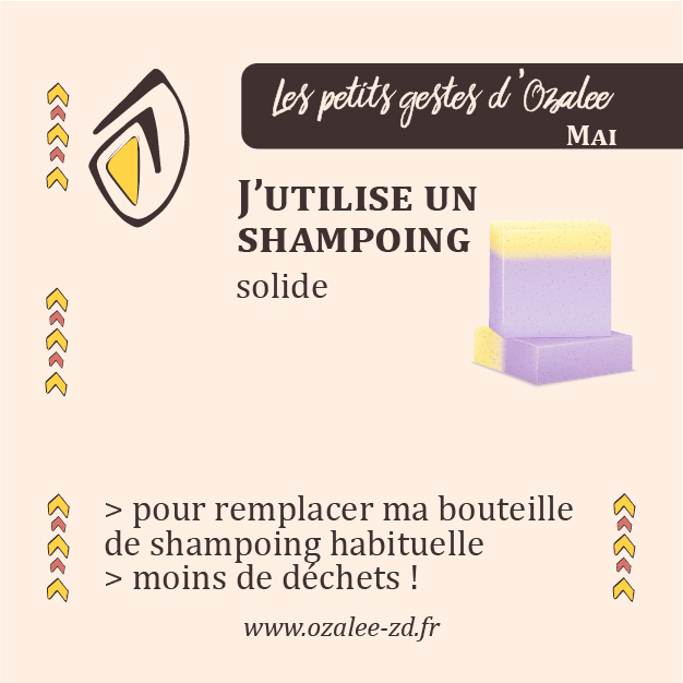 shampoing solide