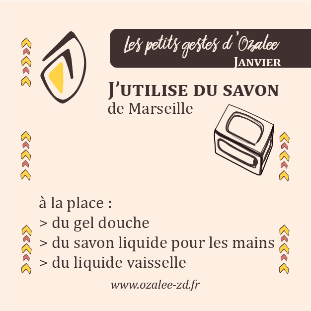 Ecologie Zéro Déchet savon deMarseille