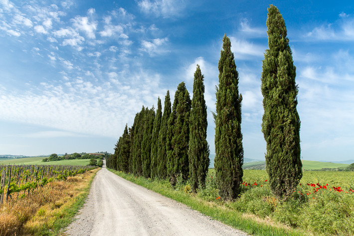 Val d´Orcia