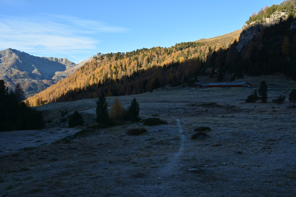 Alp Champatsch noch im Dunkeln, umgeben von Raureif