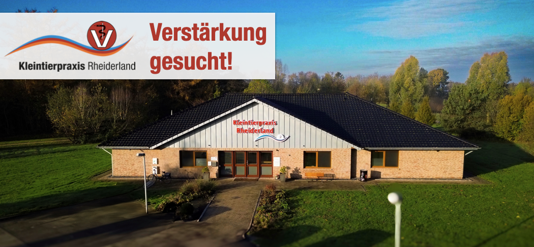 Stellenangebot: Werde Teil unseres Teams als Tiermedizinische Fachangestellte (TFA) in der Kleintierpraxis Rheiderland!