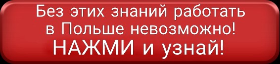 Работа водителем в Польше без опыта