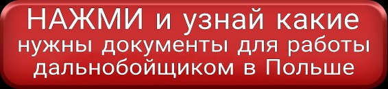 Работа в Польше водителем