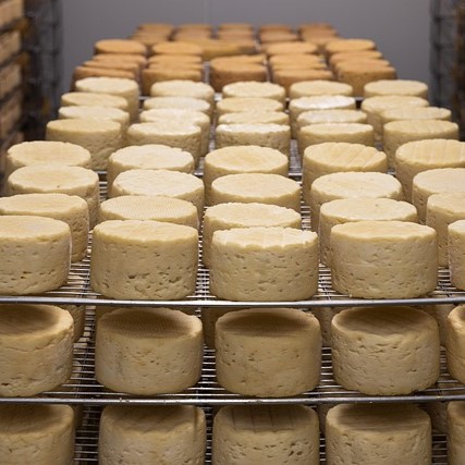 Fromage de brebis transformé sur notre ferme