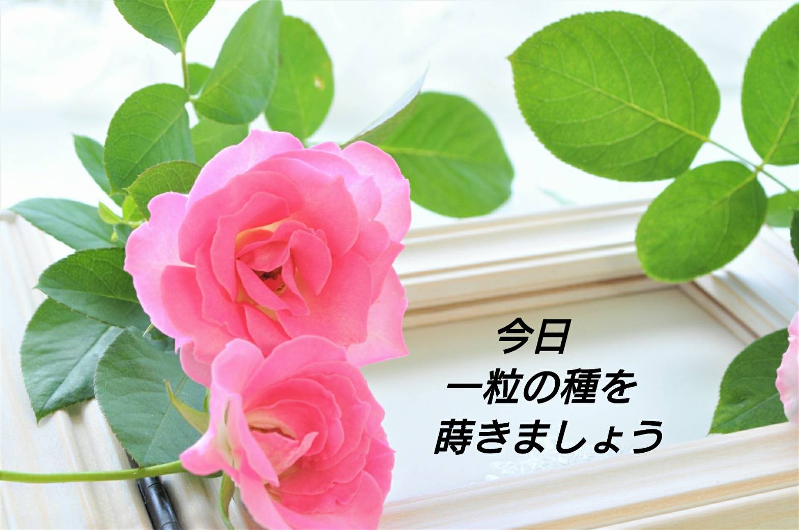 うぶ 花 占い師
