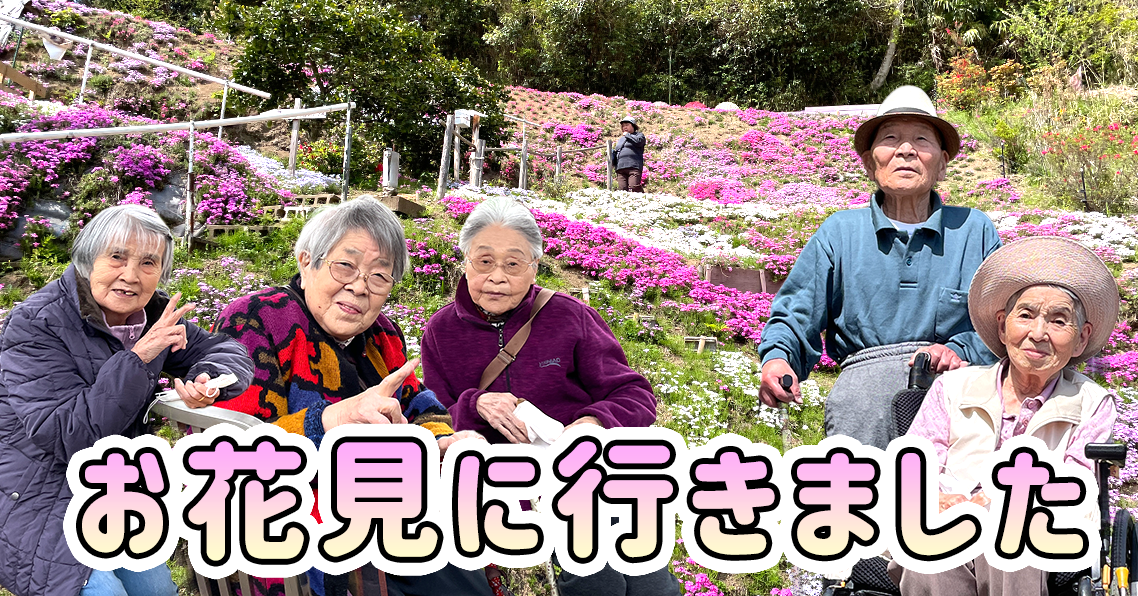 お花見に行きました