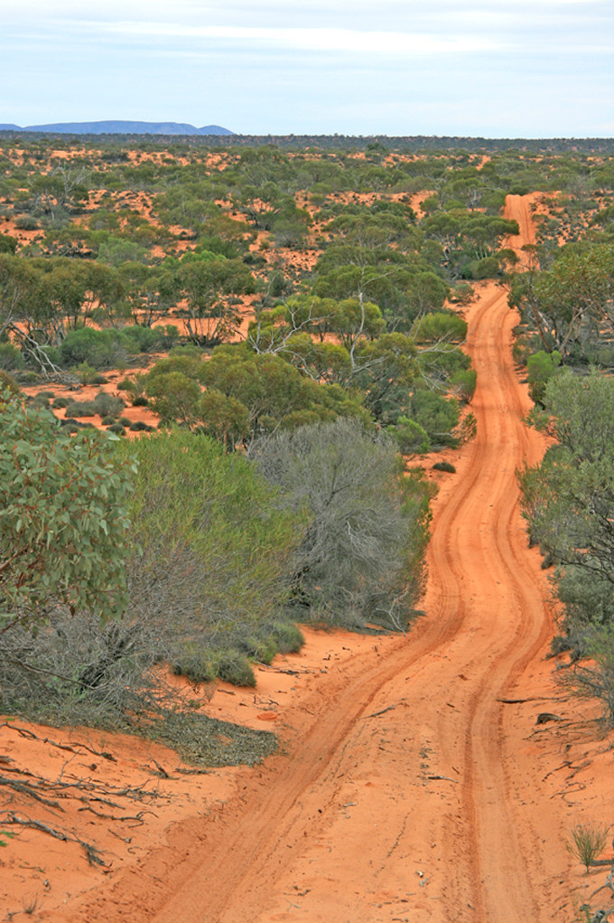 Googs Track