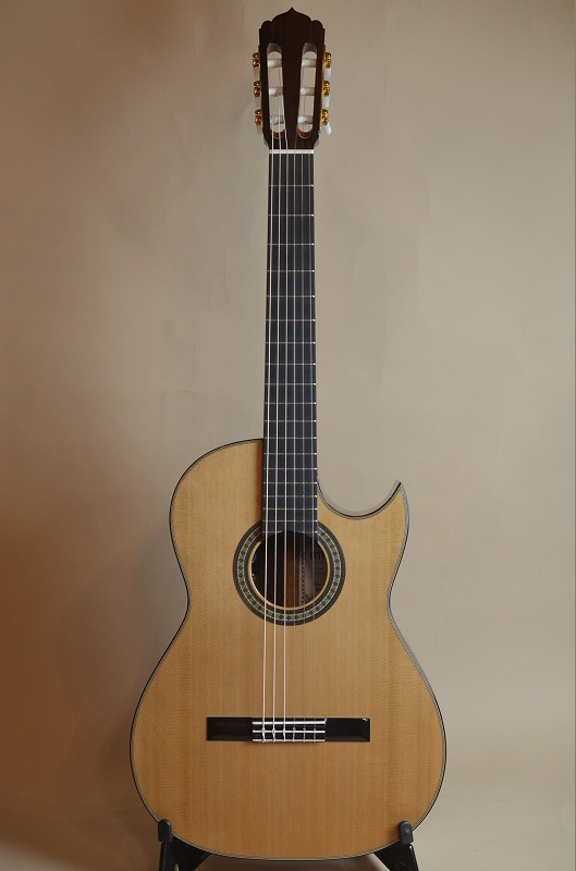 ASTURIAS Solo Classico Premio/C - guitarshoptantan （ギター