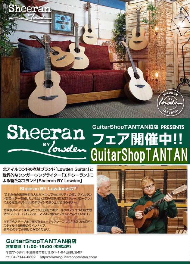 Sheeran by Lowden入荷! - guitarshoptantan (ギターショップタンタン)