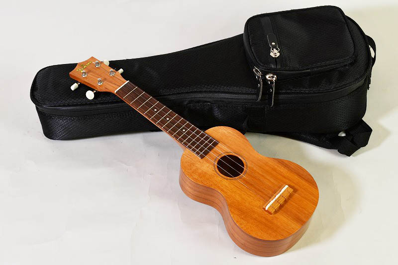 USED/Famous FS-5G - guitarshoptantan （ギターショップタンタン）