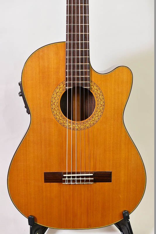 ベスタグラハム アコースティックギター 限定セール！美品Vesta Graham