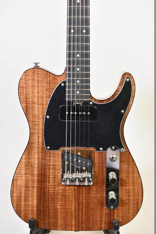 Bacchus TACTICS KOA-ASH - guitarshoptantan （ギターショップ
