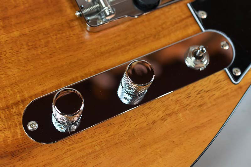 Bacchus TACTICS KOA Ⅱ NA/MAT (S/N～685) - guitarshoptantan