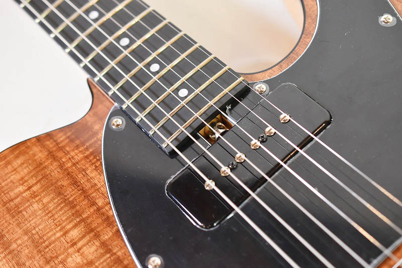Bacchus TACTICS KOA-ASH - guitarshoptantan (ギターショップ Bacchus TACTICS KOA-ASH - guitarshoptantan (ギターショップ