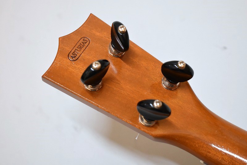 USED/ASTURIAS 15th Anniversary Concert Mahogany【USED/2009年