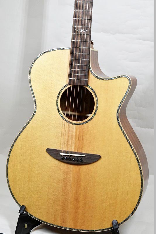 ◾️値下げ: DCT エレアコ G500C (本体状態良好:プリアンプ難