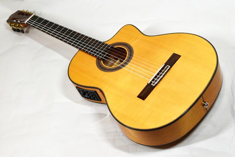 Cordoba GK Studio エレガット+ハードケース Cordoba GK Studio