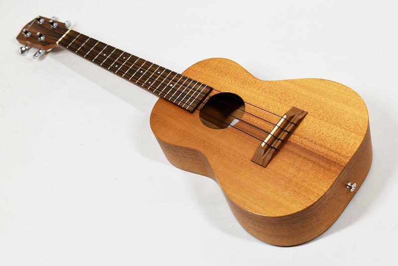 ウクレレ・ソングス 1―オルタード・ワン E.D.GEAR EUA-BAG-1 BLACK ウクレレバッグ ソプラノ・コンサート