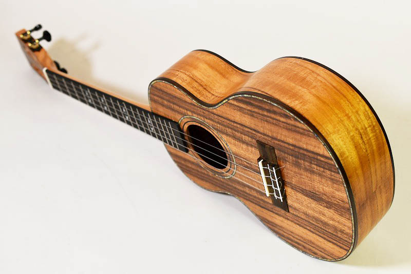 Aostin AT100 - guitarshoptantan （ギターショップタンタン）
