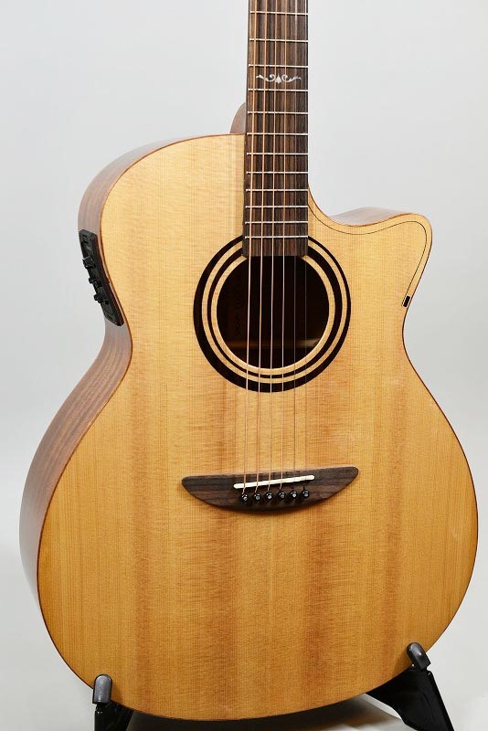 DCT GR-311CE - guitarshoptantan （ギターショップタンタン）