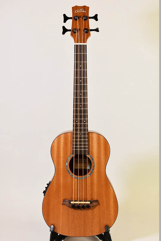 61gYIb2lK1L._UF894,1000_QL80_.jpg