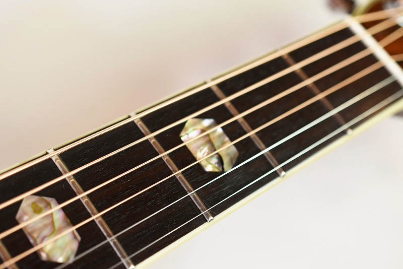 Morris W-50 - guitarshoptantan （ギターショップタンタン）
