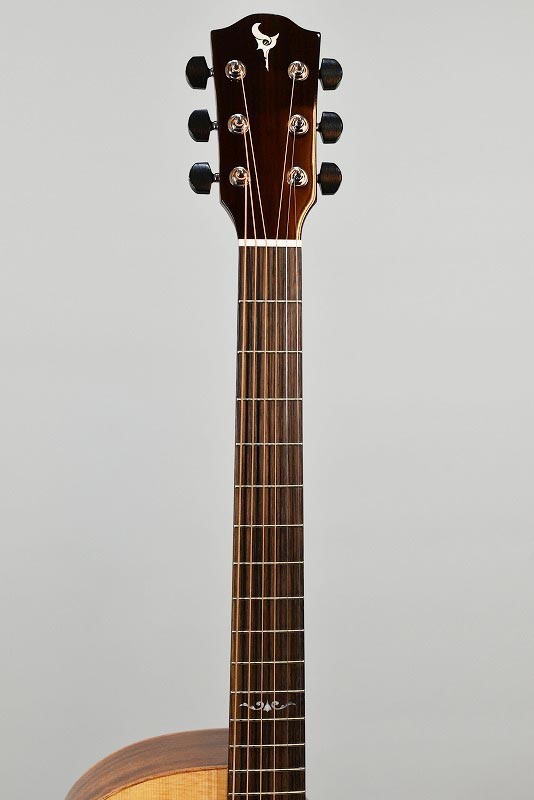 DCT GR-311CE - guitarshoptantan （ギターショップタンタン）