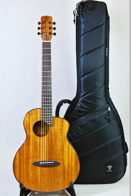 aNueNue aNN-M20E - guitarshoptantan （ギターショップタンタン）