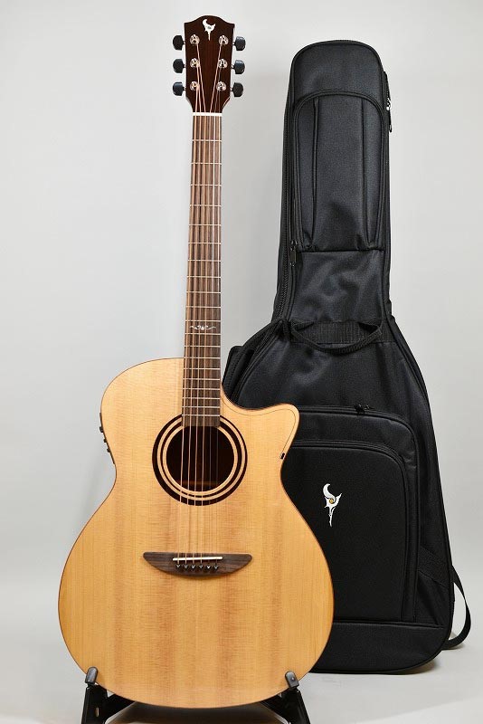 その他 DCT GR-311CE DCT GR-311CE - guitarshoptantan （ギターショップタンタン）