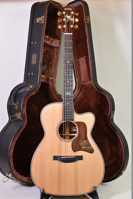 Headway HC-501 NIKKOSUGI A,S/ATB - guitarshoptantan (ギター Headway HC-501 NIKKOSUGI A,S/ATB - guitarshoptantan (ギター